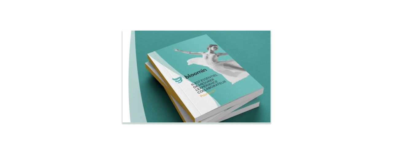 Livre Blanc Exemple Bloomin