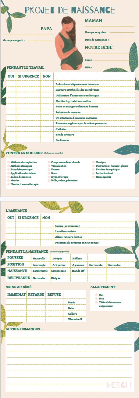 Exemple de modele de projet de naissance